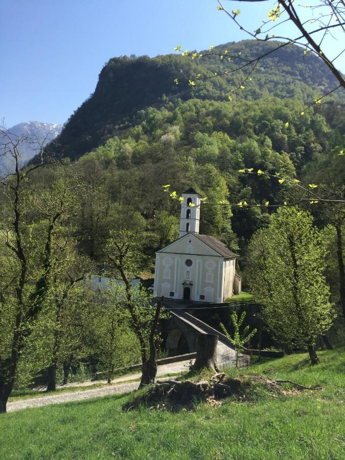 Bnb Sorgente Verde Roveredo Eksteriør billede